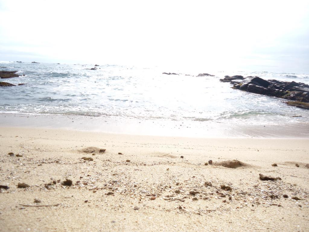 טנגלה Masha Beach Inn מראה חיצוני תמונה