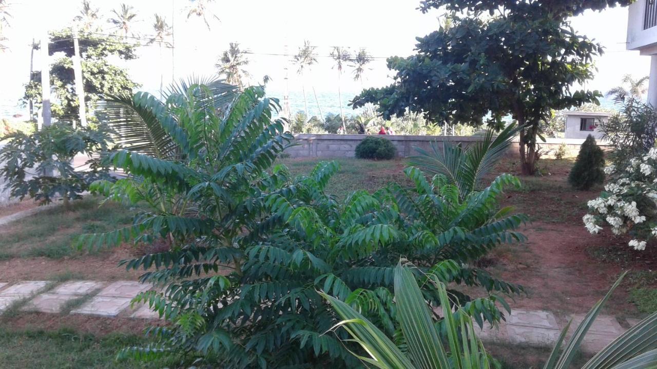 טנגלה Masha Beach Inn מראה חיצוני תמונה